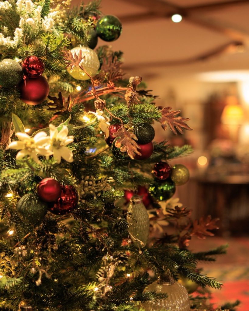 Christmas Tree in Hatton Court Hotel