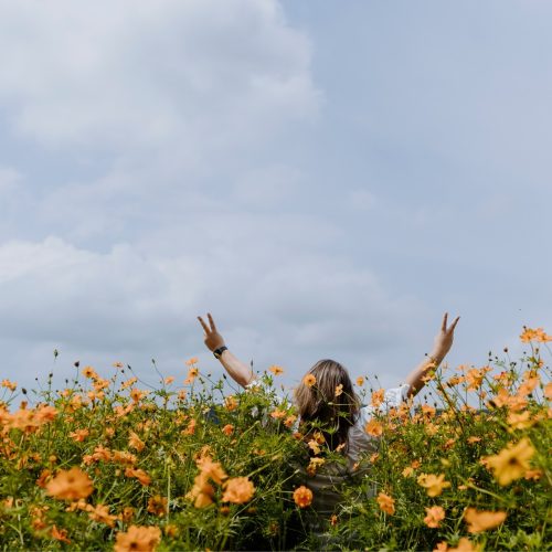 Girl waving her hands in a field of dafodills for a spring promotion.